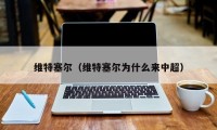 维特塞尔（维特塞尔为什么来中超）