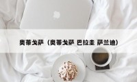 奥蒂戈萨（奥蒂戈萨 巴拉圭 萨兰迪）