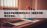 越南足球超级联赛排名2019（越南足球联赛几支球队）