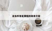 足协杯鲁能赛程的简单介绍