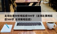 足球比赛分析观后感500字（足球比赛观后感500字 足球赛观后感）