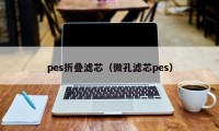 pes折叠滤芯（微孔滤芯pes）