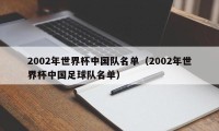 2002年世界杯中国队名单（2002年世界杯中国足球队名单）