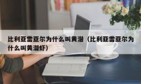 比利亚雷亚尔为什么叫黄潜（比利亚雷亚尔为什么叫黄潜虾）