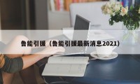 鲁能引援（鲁能引援最新消息2021）