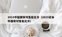 2019中超国安对鲁能比分（2019足协杯国安对鲁能比分）